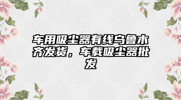 車用吸塵器有線烏魯木齊發(fā)貨，車載吸塵器批發(fā)