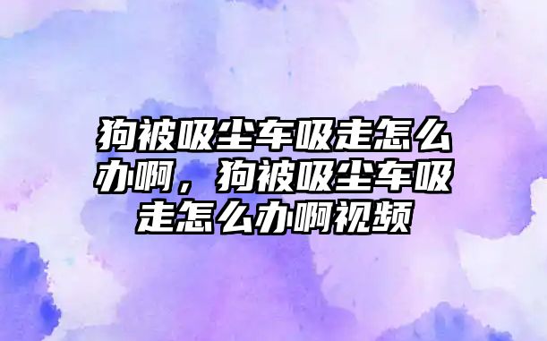 狗被吸塵車吸走怎么辦啊，狗被吸塵車吸走怎么辦啊視頻