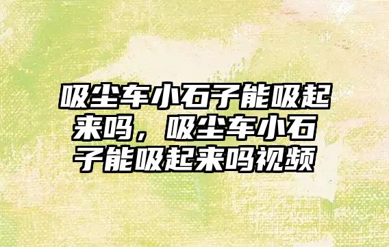 吸塵車小石子能吸起來(lái)嗎，吸塵車小石子能吸起來(lái)嗎視頻