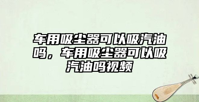 車用吸塵器可以吸汽油嗎，車用吸塵器可以吸汽油嗎視頻