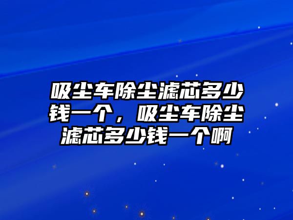 吸塵車除塵濾芯多少錢一個，吸塵車除塵濾芯多少錢一個啊