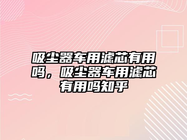 吸塵器車用濾芯有用嗎，吸塵器車用濾芯有用嗎知乎