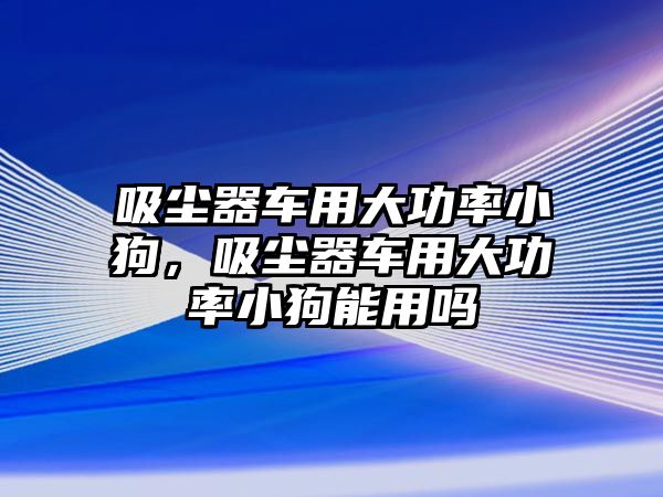 吸塵器車用大功率小狗，吸塵器車用大功率小狗能用嗎