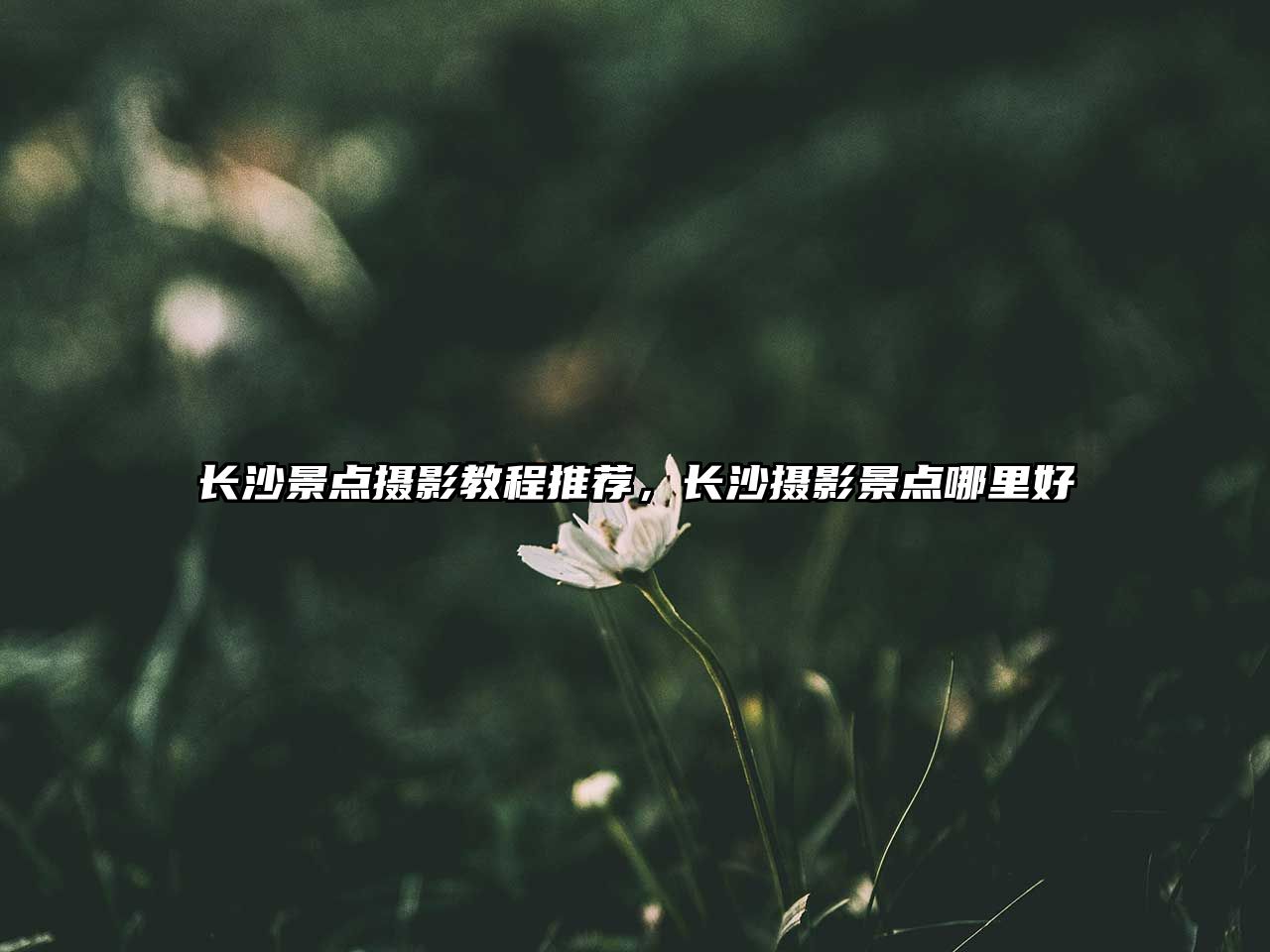 長(zhǎng)沙景點(diǎn)攝影教程推薦，長(zhǎng)沙攝影景點(diǎn)哪里好