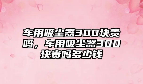 車用吸塵器300塊貴嗎，車用吸塵器300塊貴嗎多少錢