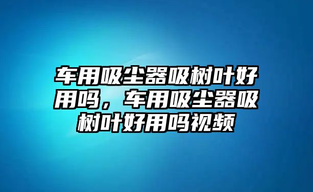 車用吸塵器吸樹葉好用嗎，車用吸塵器吸樹葉好用嗎視頻