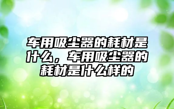 車用吸塵器的耗材是什么，車用吸塵器的耗材是什么樣的