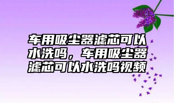 車用吸塵器濾芯可以水洗嗎，車用吸塵器濾芯可以水洗嗎視頻