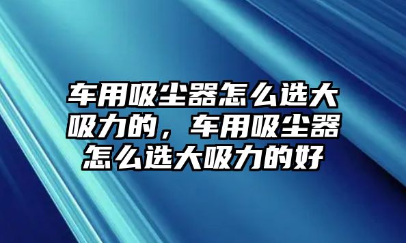 車用吸塵器怎么選大吸力的，車用吸塵器怎么選大吸力的好