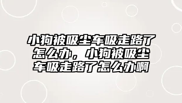 小狗被吸塵車吸走路了怎么辦，小狗被吸塵車吸走路了怎么辦啊