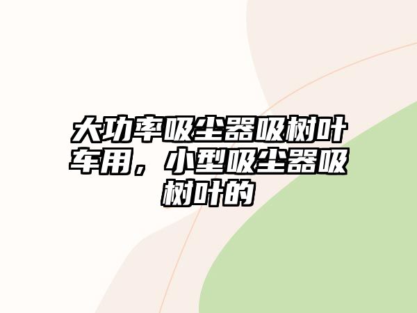 大功率吸塵器吸樹葉車用，小型吸塵器吸樹葉的