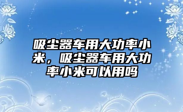 吸塵器車用大功率小米，吸塵器車用大功率小米可以用嗎