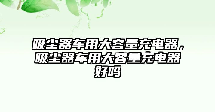 吸塵器車用大容量充電器，吸塵器車用大容量充電器好嗎