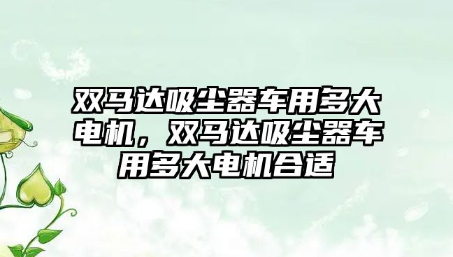 雙馬達(dá)吸塵器車用多大電機，雙馬達(dá)吸塵器車用多大電機合適