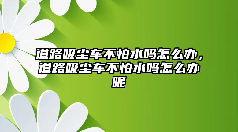 道路吸塵車不怕水嗎怎么辦，道路吸塵車不怕水嗎怎么辦呢