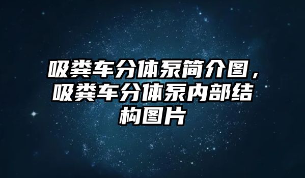 吸糞車分體泵簡(jiǎn)介圖，吸糞車分體泵內(nèi)部結(jié)構(gòu)圖片