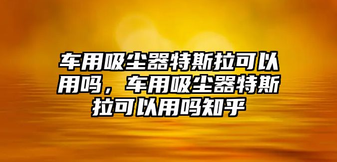 車用吸塵器特斯拉可以用嗎，車用吸塵器特斯拉可以用嗎知乎