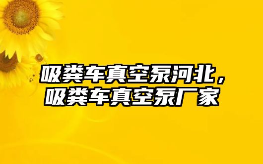 吸糞車真空泵河北，吸糞車真空泵廠家