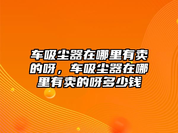 車吸塵器在哪里有賣的呀，車吸塵器在哪里有賣的呀多少錢