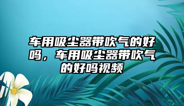 車用吸塵器帶吹氣的好嗎，車用吸塵器帶吹氣的好嗎視頻