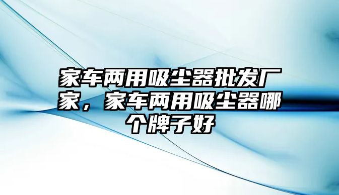 家車兩用吸塵器批發(fā)廠家，家車兩用吸塵器哪個(gè)牌子好