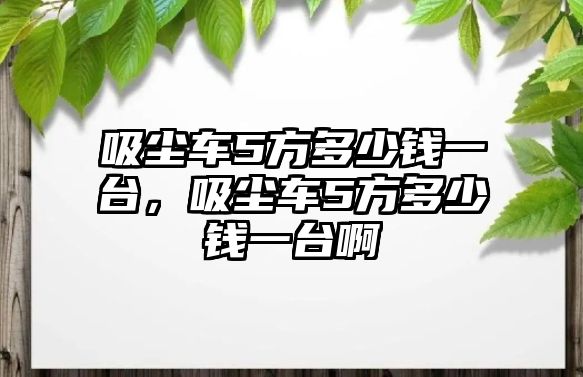 吸塵車5方多少錢一臺，吸塵車5方多少錢一臺啊