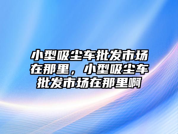 小型吸塵車批發(fā)市場在那里，小型吸塵車批發(fā)市場在那里啊