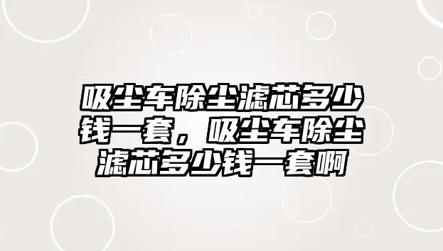 吸塵車除塵濾芯多少錢一套，吸塵車除塵濾芯多少錢一套啊