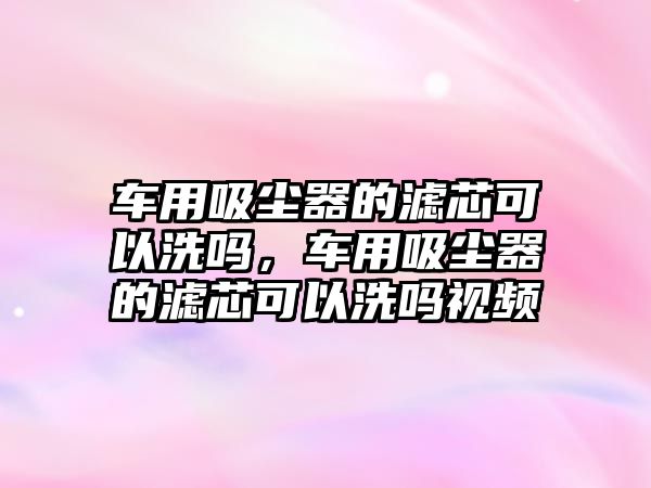 車用吸塵器的濾芯可以洗嗎，車用吸塵器的濾芯可以洗嗎視頻