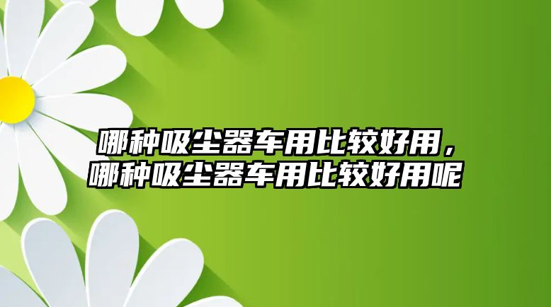 哪種吸塵器車用比較好用，哪種吸塵器車用比較好用呢