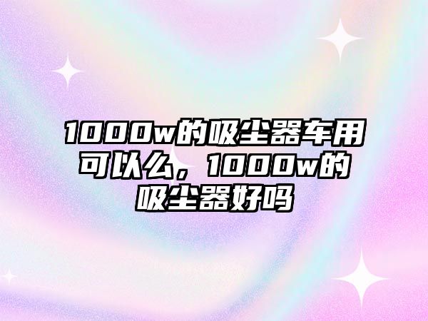 1000w的吸塵器車用可以么，1000w的吸塵器好嗎