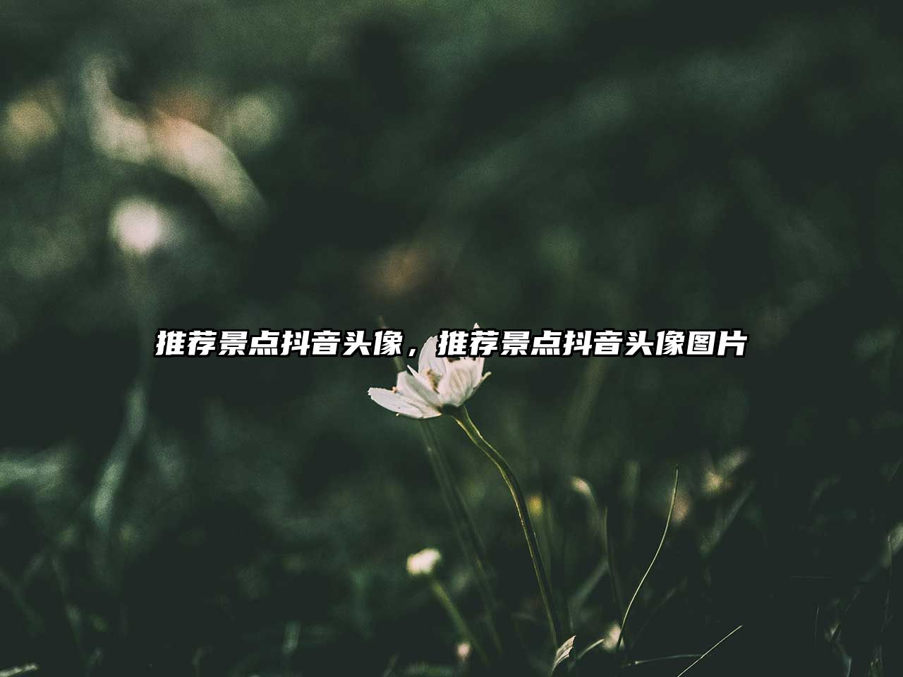 推薦景點(diǎn)抖音頭像，推薦景點(diǎn)抖音頭像圖片