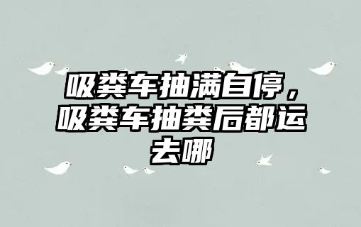 吸糞車抽滿自停，吸糞車抽糞后都運去哪