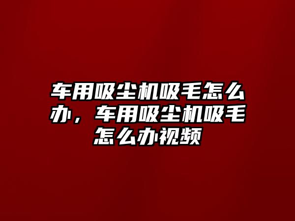 車用吸塵機(jī)吸毛怎么辦，車用吸塵機(jī)吸毛怎么辦視頻