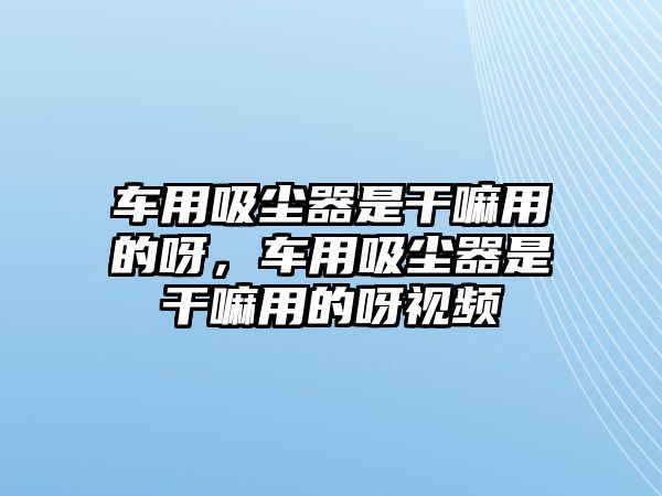 車用吸塵器是干嘛用的呀，車用吸塵器是干嘛用的呀視頻