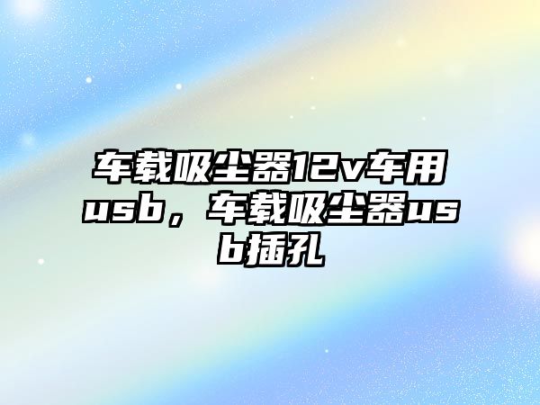 車載吸塵器12v車用usb，車載吸塵器usb插孔