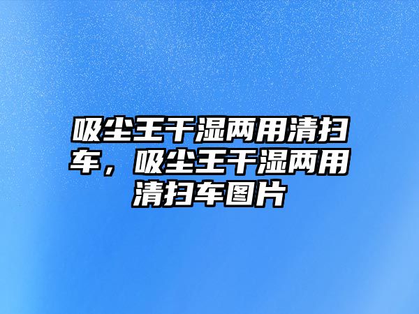 吸塵王干濕兩用清掃車，吸塵王干濕兩用清掃車圖片