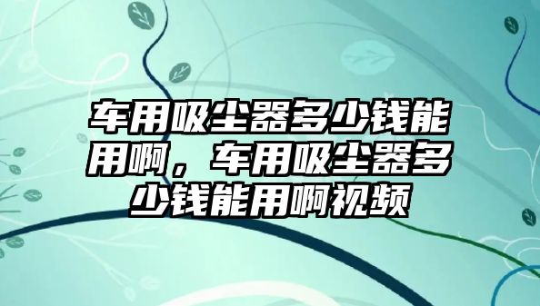 車用吸塵器多少錢能用啊，車用吸塵器多少錢能用啊視頻