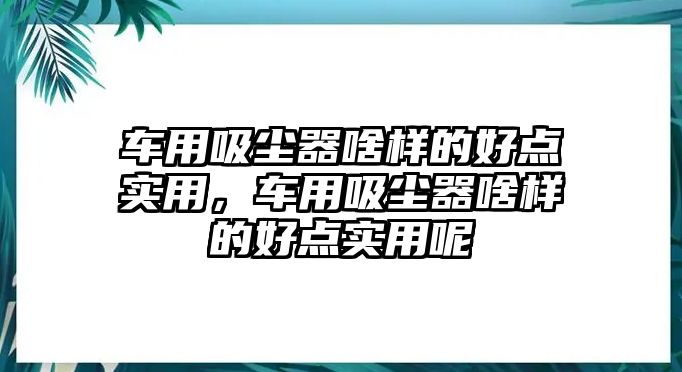 車用吸塵器啥樣的好點實用，車用吸塵器啥樣的好點實用呢