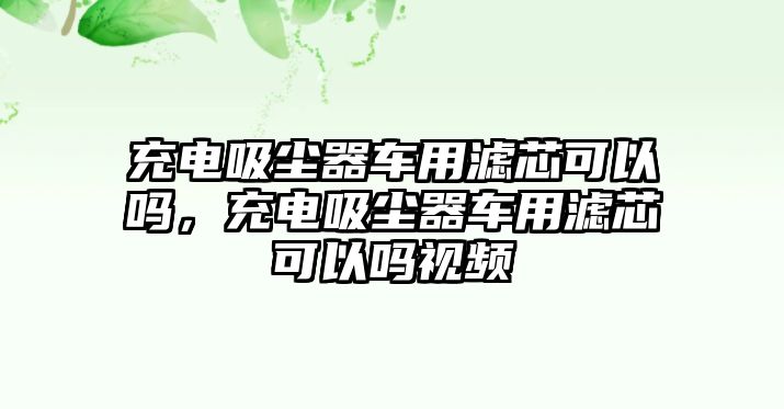 充電吸塵器車用濾芯可以嗎，充電吸塵器車用濾芯可以嗎視頻