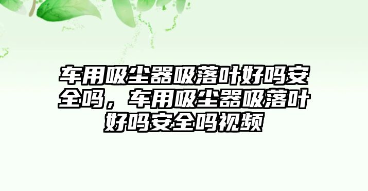 車用吸塵器吸落葉好嗎安全嗎，車用吸塵器吸落葉好嗎安全嗎視頻