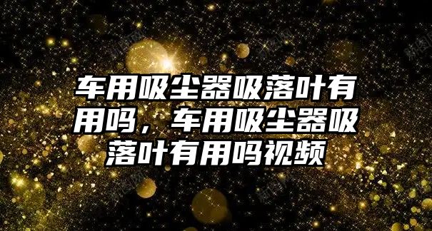 車用吸塵器吸落葉有用嗎，車用吸塵器吸落葉有用嗎視頻