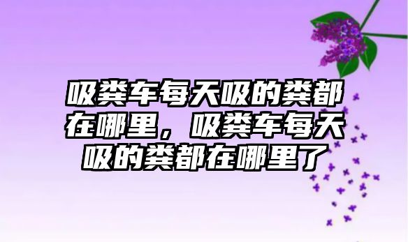 吸糞車每天吸的糞都在哪里，吸糞車每天吸的糞都在哪里了