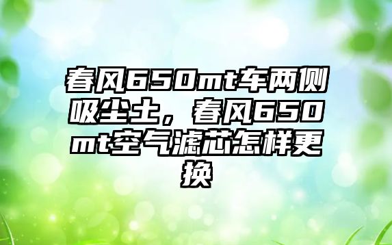 春風(fēng)650mt車兩側(cè)吸塵土，春風(fēng)650mt空氣濾芯怎樣更換