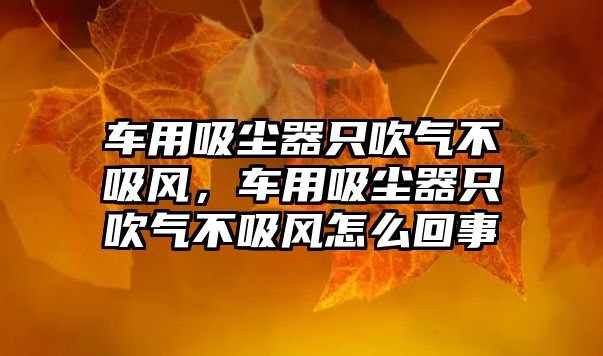 車用吸塵器只吹氣不吸風(fēng)，車用吸塵器只吹氣不吸風(fēng)怎么回事