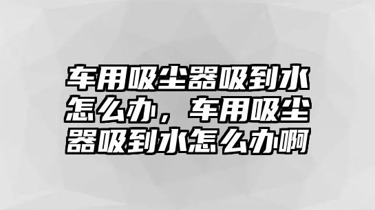 車用吸塵器吸到水怎么辦，車用吸塵器吸到水怎么辦啊