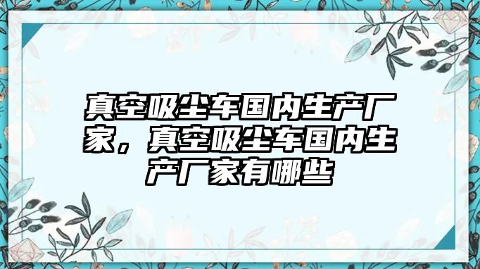 真空吸塵車國內(nèi)生產(chǎn)廠家，真空吸塵車國內(nèi)生產(chǎn)廠家有哪些