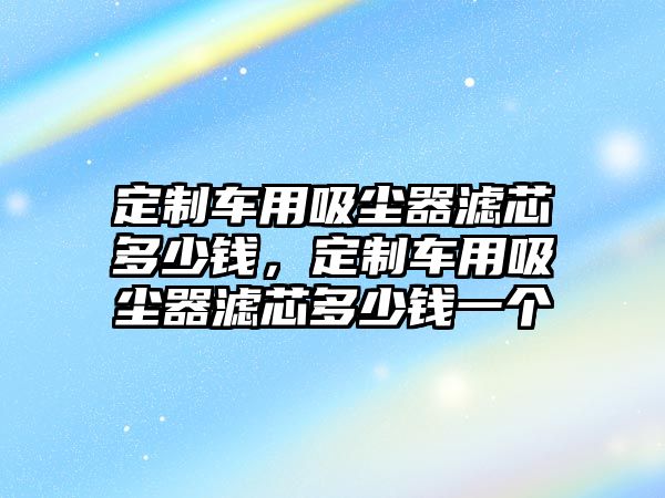 定制車用吸塵器濾芯多少錢，定制車用吸塵器濾芯多少錢一個(gè)