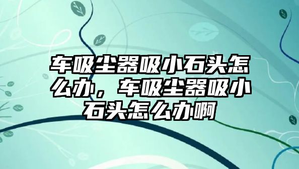 車吸塵器吸小石頭怎么辦，車吸塵器吸小石頭怎么辦啊