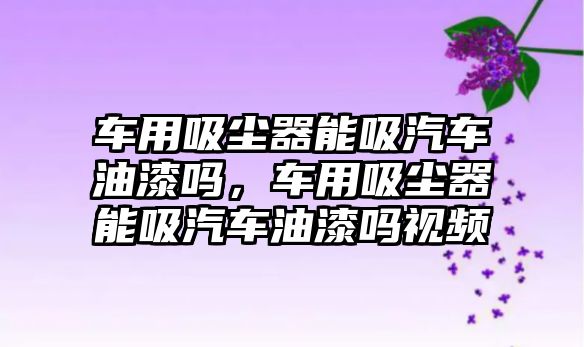 車用吸塵器能吸汽車油漆嗎，車用吸塵器能吸汽車油漆嗎視頻